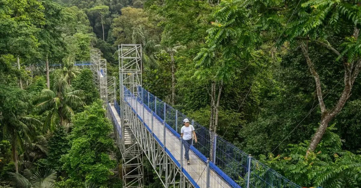 team building company pahang - Team Building in Pahang: Outdoor Adventures and Corporate Retreats 2026