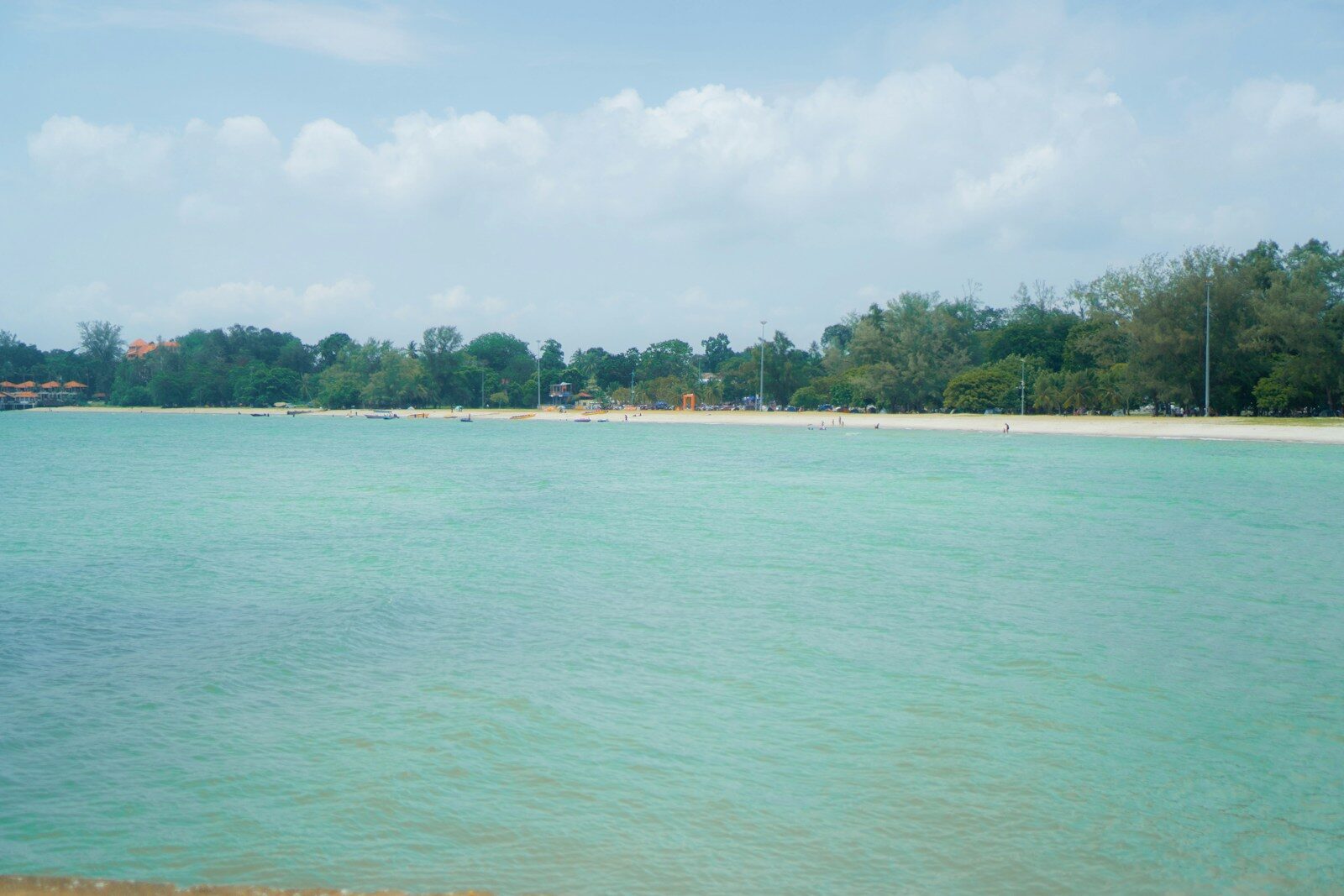 a body of water with trees in the background